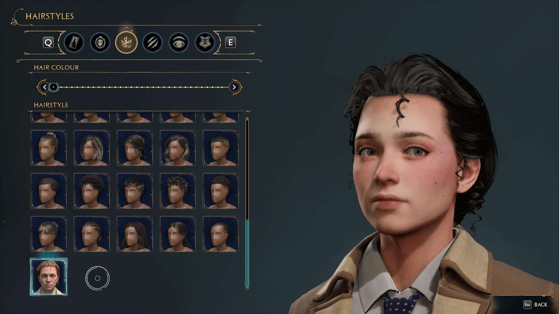 Sprottle's Hair for Female MC