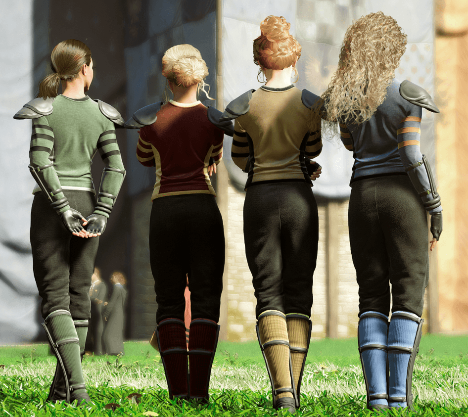 Thumbnail FMC's Quidditch Outfit and Chest Padding