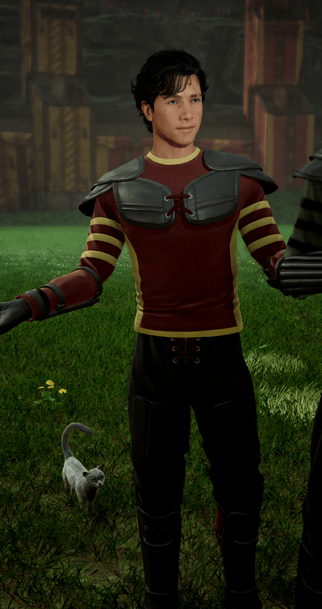 Thumbnail MMC Gryffindor