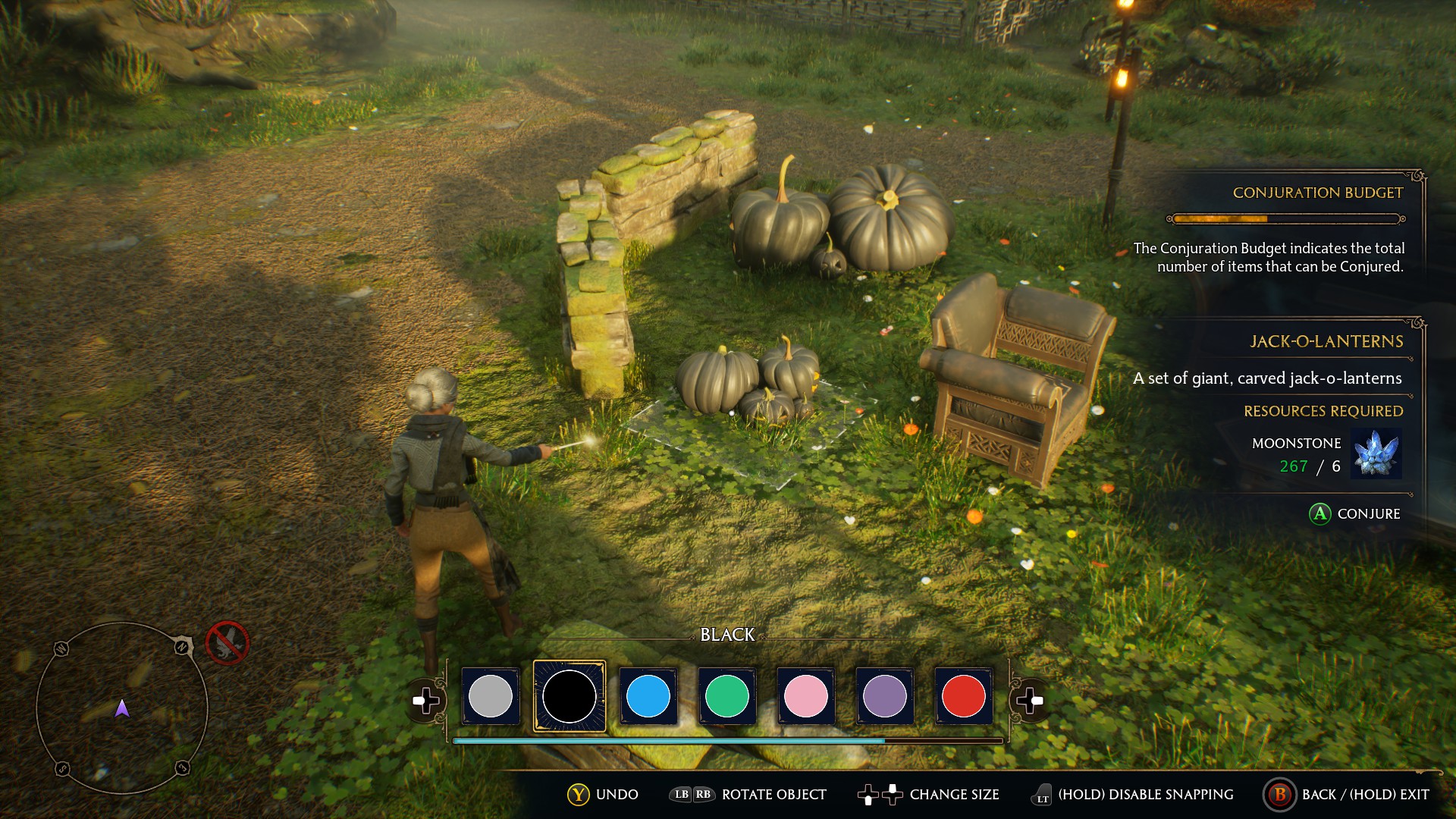 Conjure Anything In Room of Requirement and Vivarium