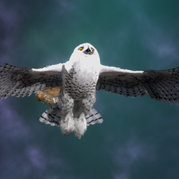 Snow Owl Broom logo
