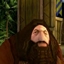 Hagrid Broom logo