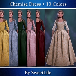 Outfits | French Chemise Dress In 13 Colors project image
