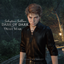 Sebastian Sallow Dash of Dark v1 logo