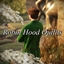 Robin Hood Outfits for MMC logo