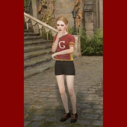 Gryffindor Time Traveler's Set (F) logo