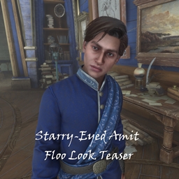 Starry-Eyed Amit FlooLook logo