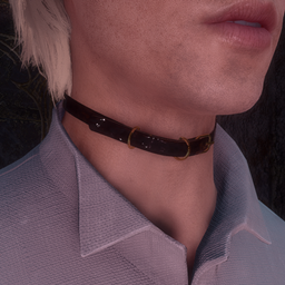 Belt Choker for MC project image