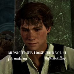 Midnight Seb Loose Hair for MC Vol. II  logo