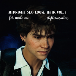 Midnight Seb Loose Hair for MC Vol. I logo