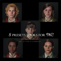 Presets Pack for MC (5 look options) logo