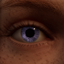 Targaryen_eyes logo