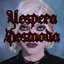 Vanity of Elegance Makeup Styles | FMC | Vespera Desmoda by Ahriadne logo