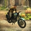 Hagrids Legacy - Bike logo